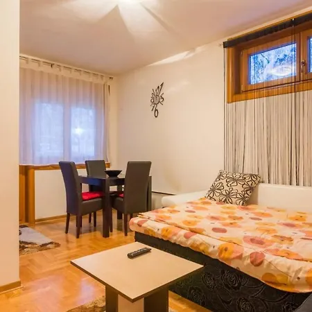 Apartament Nest *